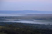 Masai Mara fog